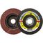Flap Discs